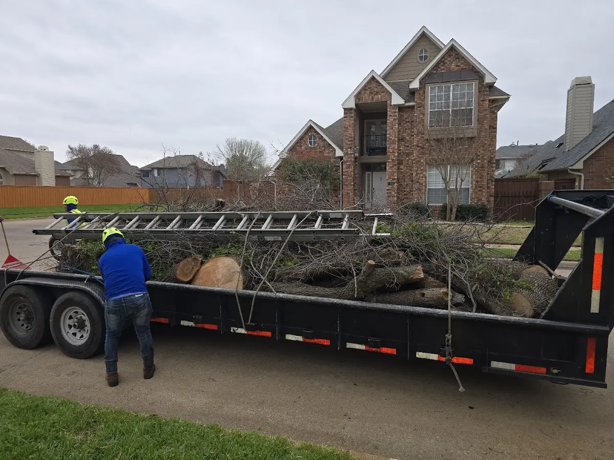 Expert Tree Fertilization with proper safety equipment in Scarville